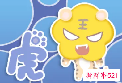 属虎什么星座最好