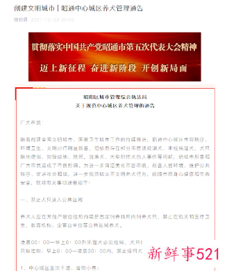 最严遛狗令遛狗时间段仅限凌晨
