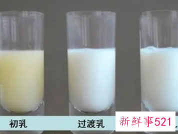 初乳放在冰箱保鲜能放多久