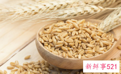 优质碳水是指哪些食物