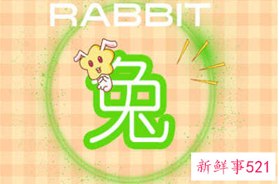 2023几月份出生的兔好