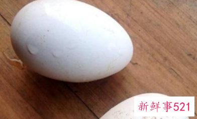 鹅蛋忌什么食物一起吃