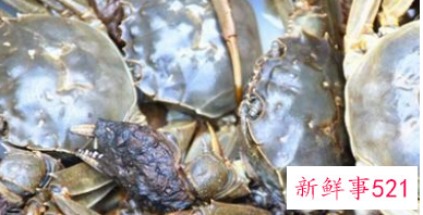 螃蟹死了多久不能吃了