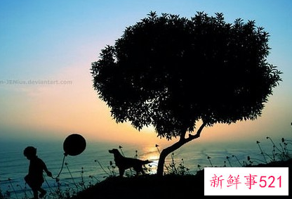 梦见打井有什么预示