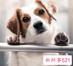 儿童科学的小常识