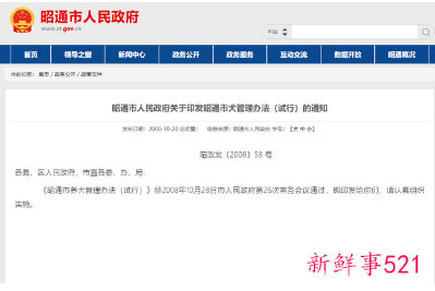 最严遛狗令遛狗时间段仅限凌晨