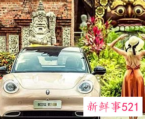 纯电动车排名前十名