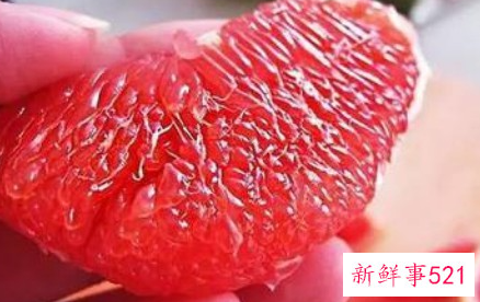 柚子和西柚有什么区别