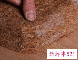 环保棕和椰棕床垫的区别
