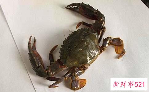 螃蟹不能和什么一起吃呢