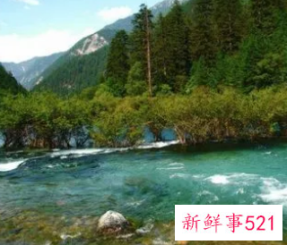 梦见河水很大是什么意思