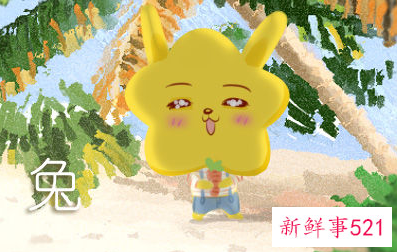 2023几月份出生的兔好