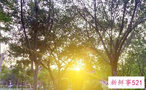 微信早安潮流问候语