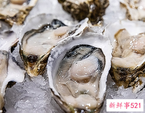 快生了可以吃生蚝吗