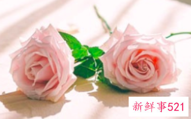 男生想让你怀孕