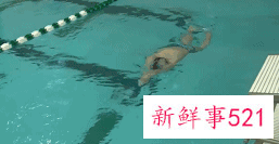 蝶泳慢动作分解