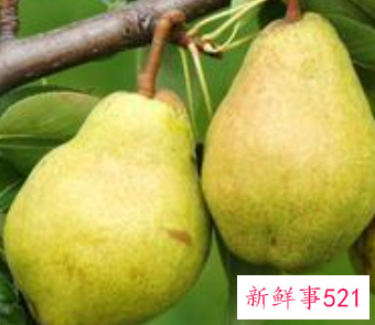 人早上起来吃梨有什么好处