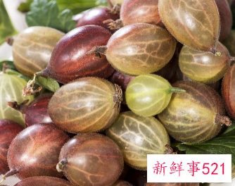 榛子的功效和作用