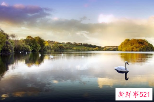 善良不是对谁都可以的