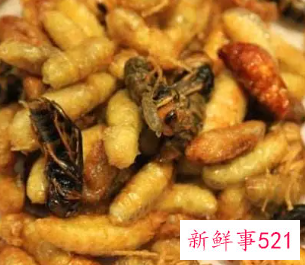 蜂蛹吃了会得甲状腺癌吗