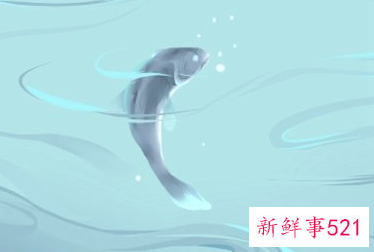 已婚女人梦见鱼和水