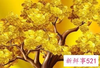 带财运的名字女孩网名