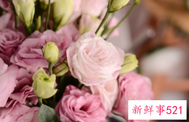 2022年九月能给巨蟹座带来财运的花