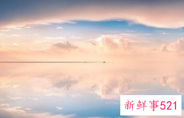 梦见厕所全是蛆爬满地