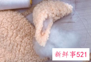 利用废旧物品做小手工