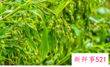 男人脸黑怎么美白