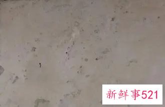 墙皮为啥脱落