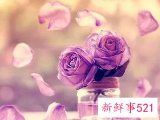 被伤到一定程度就没爱了