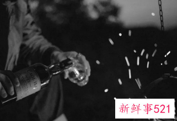 适合野外露营的歌曲