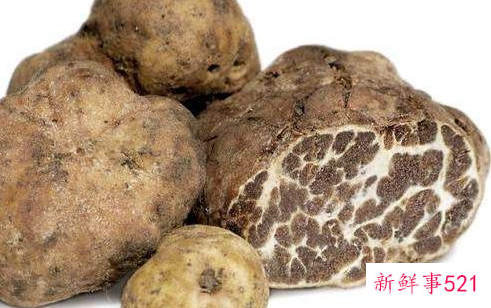 世界上最贵的蔬菜