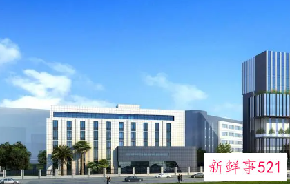 五行缺木火最吉利的公司名字