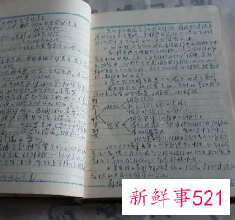 妞妞儿的期终学习日记