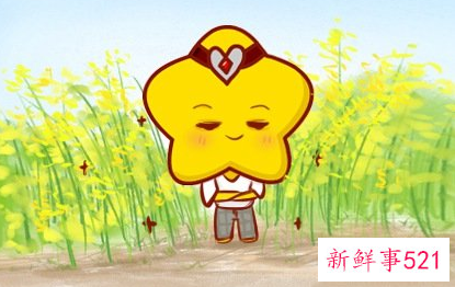 10月天蝎座运势怎样