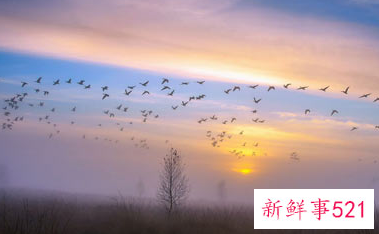 夫妻感情相处的最好方式