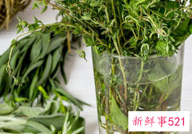 泡茶先倒水还是先倒茶