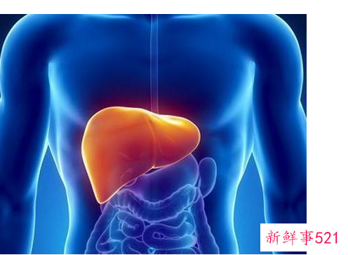 肝硬化的形成原因