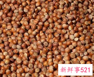 榛子的功效和作用