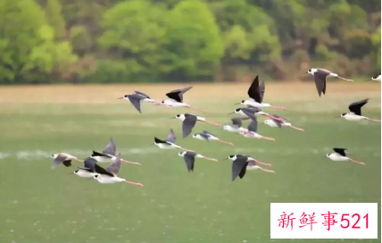 国内暑假亲子游目的地推荐