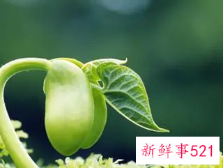 春名字的含义是什么意思