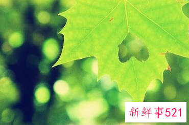 幽默风趣的搭讪句子