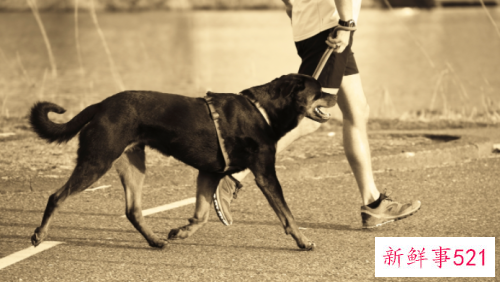 8种性感男人类型