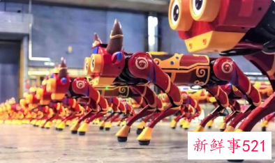 2021互联网之光博览会时间地点