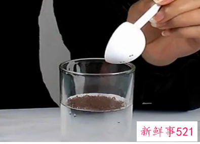 假海藻和真海藻的区别