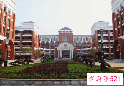 学校课后服务申请书是什么