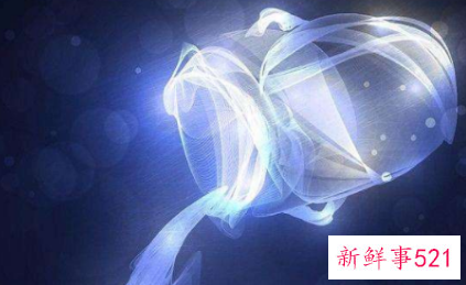 水瓶座特征和含义