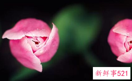 女人梦见自己死而复生